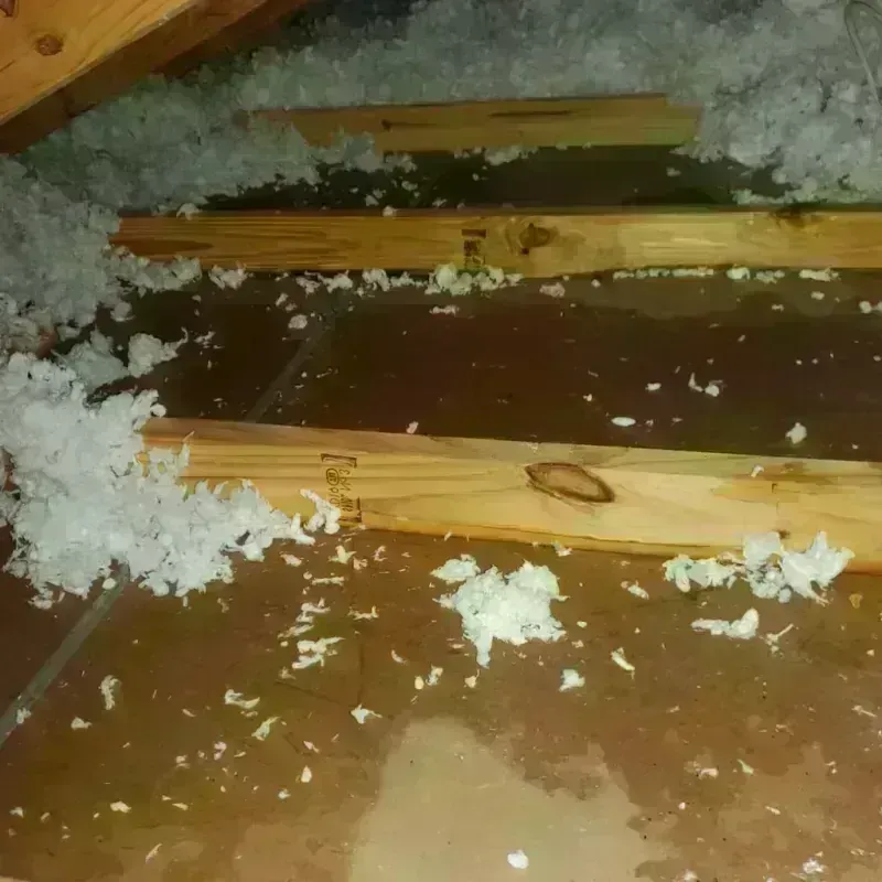 Attic Water Damage in Topeka, IN