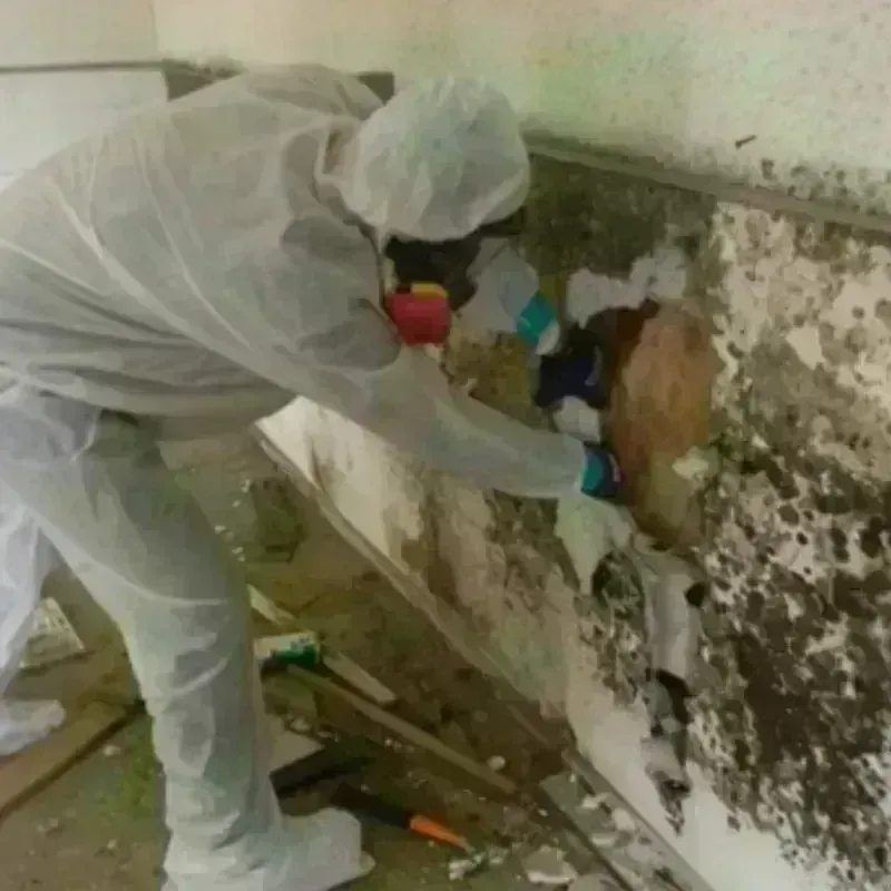 Mold Remediation and Removal in Topeka, IN