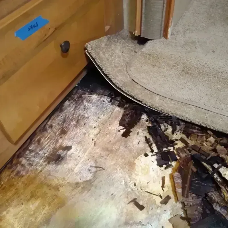 Best Wood Floor Water Damage Service in Topeka, IN